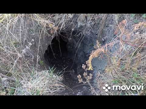 Видео: Разведка барсучьего городка#