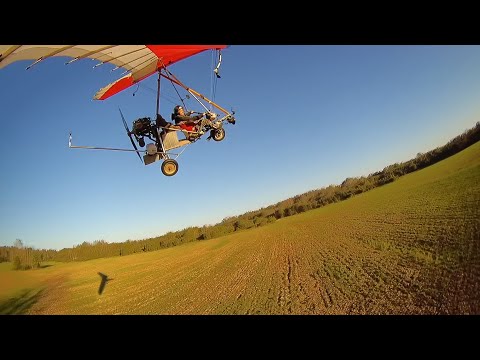 Видео: Брить будем?