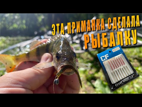 Видео: На Рыбалку Есть Только Час? Выбираю МОРМЫШИНГ!