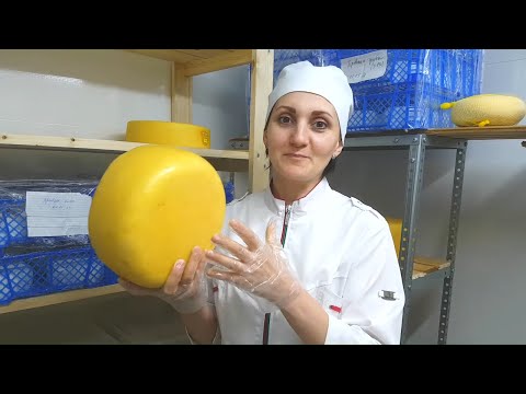 Видео: Как сделать сыр / Сыр Манчего с шафраном ( по мотивам рецептуры ) / Мастер класс по сыроделию