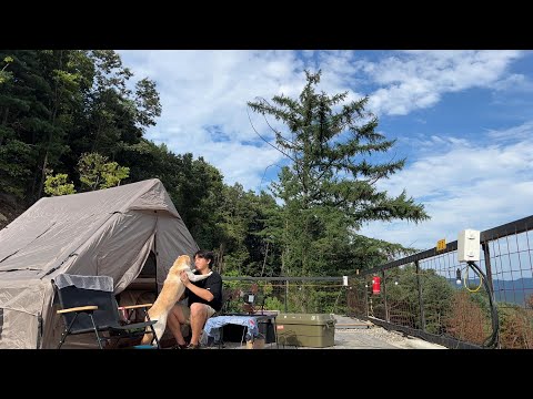 Видео: Осенний поход СОЛО под голубым небом с моей собакой. [Расслабляющий ASMR]