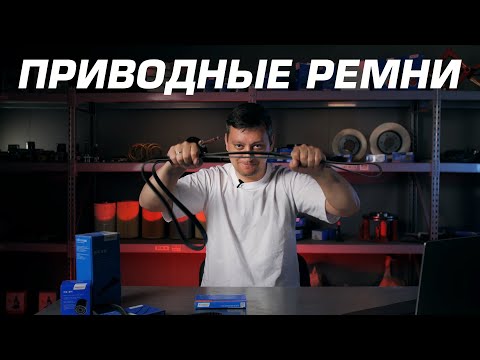 Видео: Приводные ремни AVANTECH. Поликлиновые (ручейковые) и клиновые. Краткий обзор.