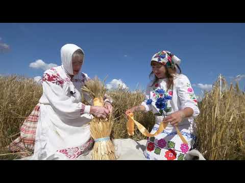Видео: Вяскоўцы: обряд Зажинки