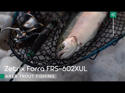 Видео: Zetrix Forra FRS-602XUL и хорошая прудовая форель