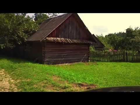 Видео: Новосады