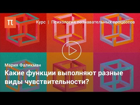 Видео: Классификации ощущений и рецепторов — Мария Фаликман