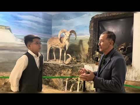 Видео: Менің кіші отаным