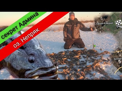 Видео: Ловля ротана зимой, секретная наживка.