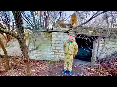 Видео: Олег Зубков убирает в саванне повернувшись спиной к ОГРОМНЫМ ЛЬВАМ, которые его окружили!!!