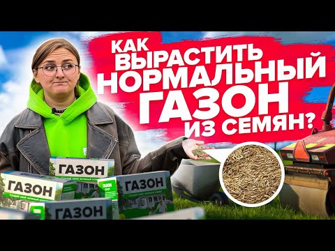 Видео: МЕЧТАЕТЕ О ГАЗОНЕ? Вначале посмотрите этот ролик! ВСЕ О ВЫРАЩИВАНИИ ГАЗОНА