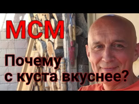 Видео: Чудо МСМ. Органическая сера