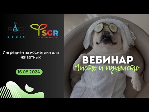 Видео: Вебинар: Чисто и пушисто. Ингредиенты косметики для животных