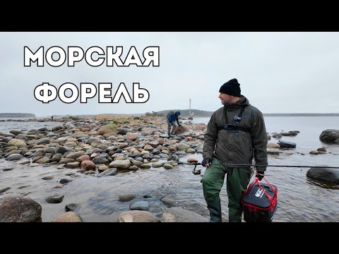 Видео: Морская форель в международный женский день. Открыли сезон рыбалки на морском побережье Эстонии.
