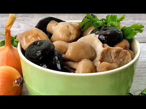 Видео: РЕЦЕПТ ЗАСОЛКИ ГРИБОВ ГОРЯЧИМ СПОСОБОМ
