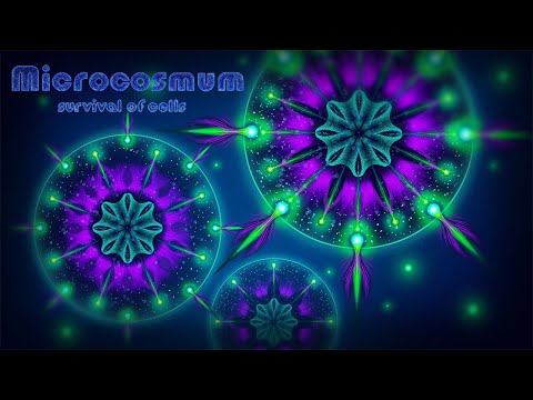 Видео: Microcosmum: Survival Of Cells #2 | New life - FULL WALKTHROUGH | Новая жизнь - ПОЛНОЕ ПРОХОЖДЕНИЕ