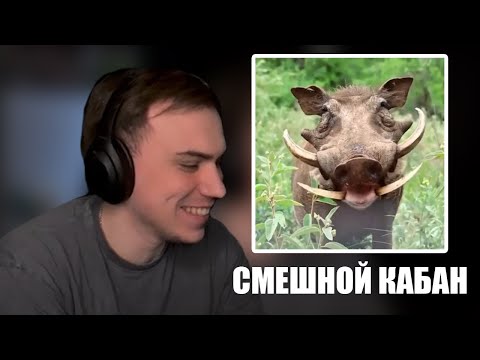 Видео: ГЛЕБ SASAVOT СМОТРИТ ТИКТОК С ЛИЗОЙ ICEICELL