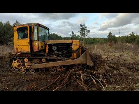 Видео: Продовжуємо корчовку на вбитому дт75