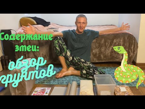 Видео: Лучший грунт для содержания змеи? Подробный обзор.
