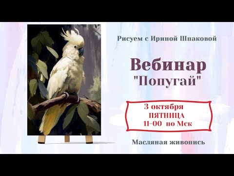 Видео: Вебинар "Попугай"