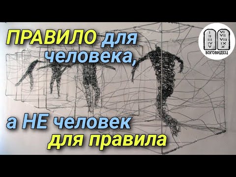 Видео: Правило для человека, а не человек для правила. Максим Каскун