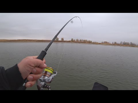 Видео: Рыбалка на судака в Калаче на Дону! Судак на джиг! Выбор приманки! Рыбалка на судака в ноябре!