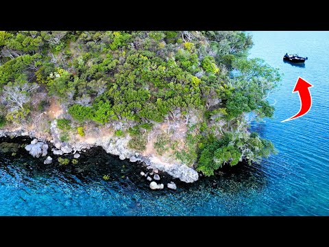 Видео: 48 часов в море – живу только за счёт того, что поймал