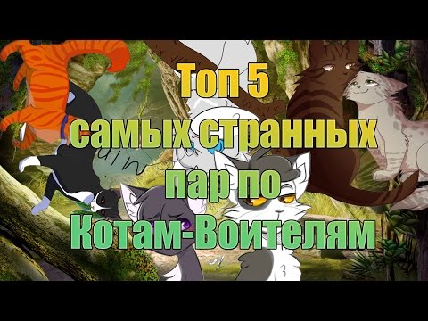 Видео: Топ 5 самых СТРАННЫХ пар по Котам-Воителям