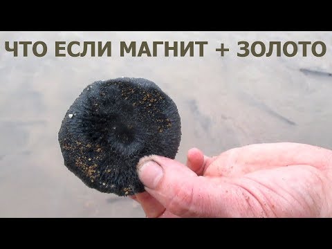 Видео: Добываем золото простым магнитом?! В любой стране, в любом городе!!!