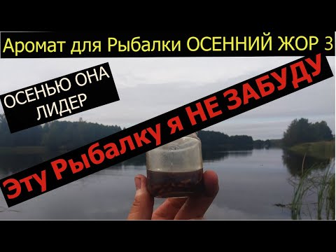 Видео: Супер Рыболовная Насадка ОСЕННИЙ ЖОР 3  САМАЯ ДИКАЯ РЫБАЛКА!