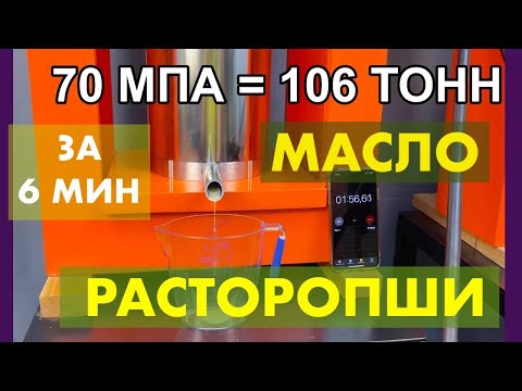 Видео: Масло расторопши на 100 Тонном маслопрессе! Скоростной отжим за 6-10 мин