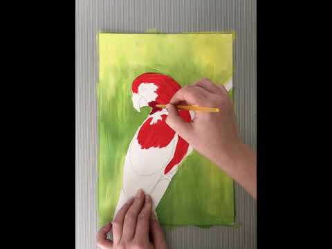 Видео: Рисуем поэтапно попугая (гуашь)