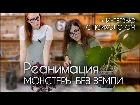 Видео: Реанимация МОНСТЕРЫ без земли | интервью с ПСИХОЛОГОМ | пересадки