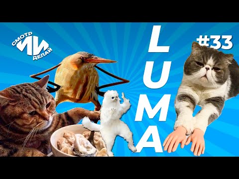 Видео: Как оживить те самые мемы в Dream Machine от Luma AI? | СмотрИИделай. Урок 33