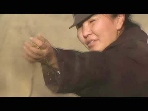 Видео: К.Сабыров мектеби мугалим Д.Орозкулова