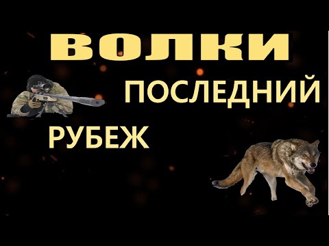 Видео: ОХОТА НА ВОЛКА, ВОЛКИ ПОСЛЕДНИЙ РУБЕЖ