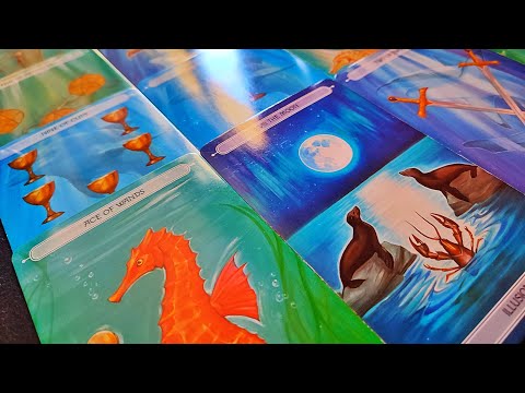 Видео: Какви чувства и емоции будите в него/нея? ♥️☀️🍀