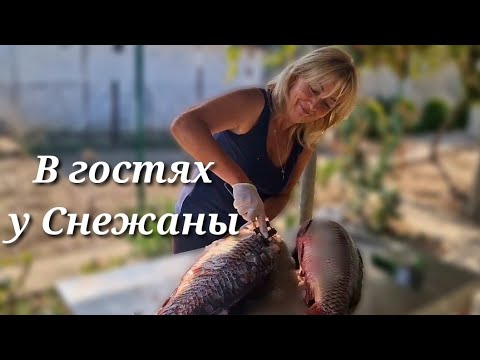 Видео: ВИЛКОВО. НОЧЬ ПЕРЕЖИЛИ – И СЛАВА БОГУ! ЗАШЛА НА ЧАЙ К СНЕЖАНЕ. ЧТО БУДЕТ ИЗ САЗАНА?