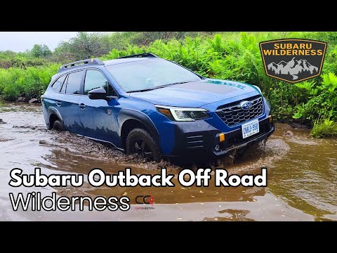 Видео: Subaru Outback Wilderness Тест на бездорожье: переход по воде и скалолазание!