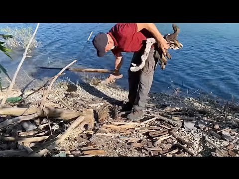 Видео: ЧТО ДЕЛАТЬ С ДРЕВЕСИНОЙ, КОТОРУЮ ВЫ НАЙДЕТЕ НА ПЛЯЖЕ? ПРИГОТОВЬТЕ КУРИЦУ В ДЕРЕВЕНСКОМ ДОМЕ