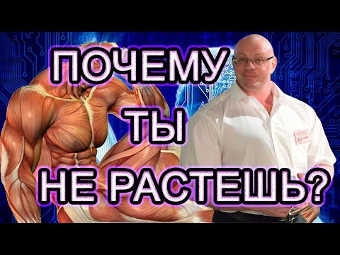 Видео: Как сочетать группы мышц - Лучшие схемы  похудения, Силы и Массы  от Андрея Замятина Часть 2