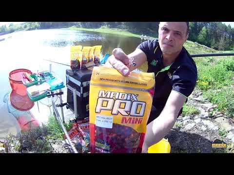 Видео: Риболов на лин и шаран на щека