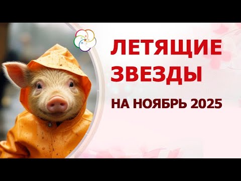 Видео: ФЭН ШУЙ 2025: прогноз по летящим звездам на НОЯБРЬ 2025