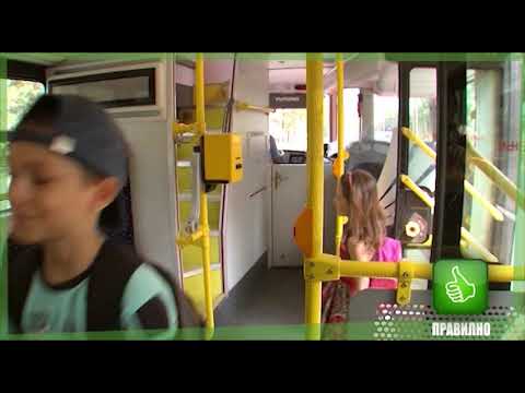 Видео: Сообраќаен буквар - Деца во автобус