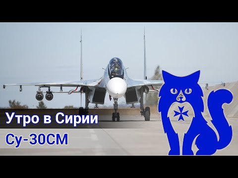 Видео: Су-30СМ "Flanker-H" - Утро в Сирии (DCS World) | WaffenCat