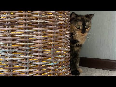 Видео: Плетение толстыми трубочками из газет, результат в конце. Плетёный абажур, очень уютный свет даёт