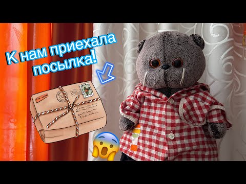 Видео: День с Басиками- учимся + распаковка ОДЕЖДЫ!