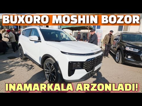 Видео: БУХОРО МОШИН БОЗОР 09.11.2025/ ИНОМАРКА АВТОМАБИЛЛА АРЗОНЛАДИ?
