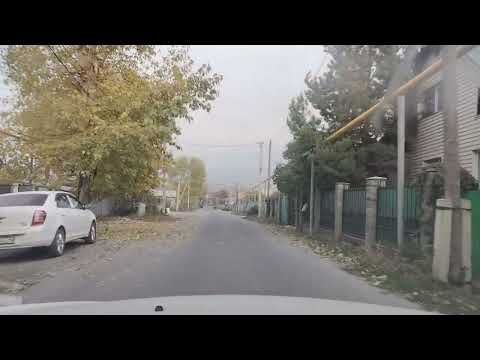 Видео: 22 октября 2025 г.