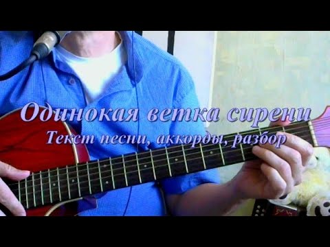Видео: Одинокая ветка сирени. Текст, аккорды, разбор