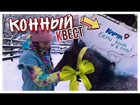 Видео: КВЕСТ ПО КОНЮШНЕ на День Рождения / Конный квест